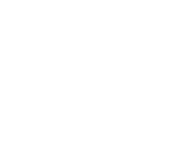 Swarovski